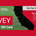 CSU AI Survey for Students, Faculty and Staff